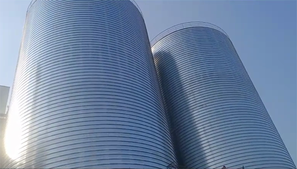 墨脱2座混凝土高架卷板仓